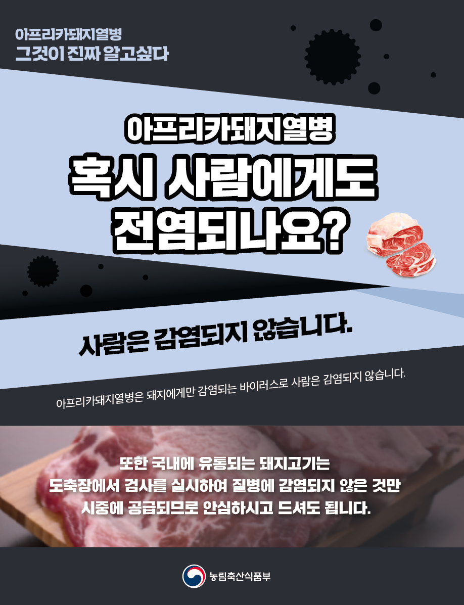 190917아프리카돼지열병사람에게는감염되지않아요.png